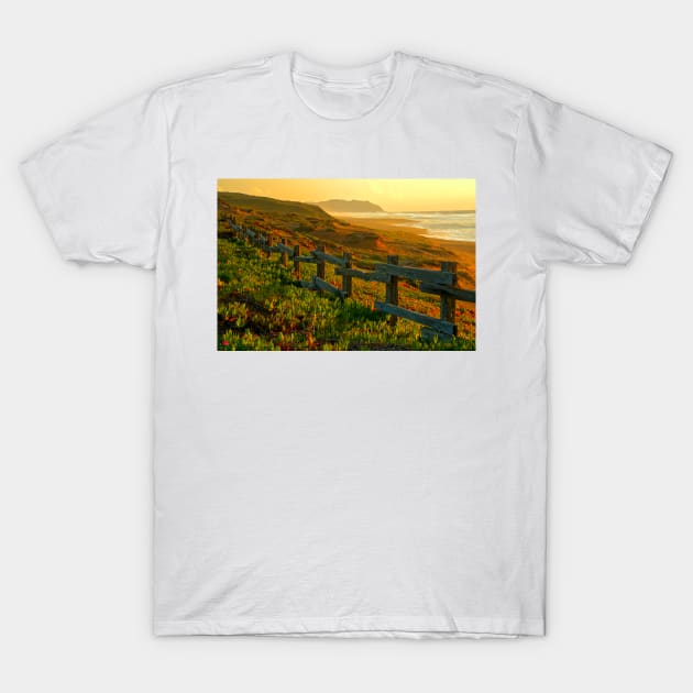 Point Reyes Golden Glow T-Shirt by AdamJewell